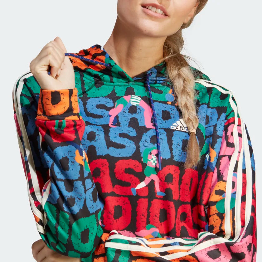 Adidas 2025 hoodie multicolor